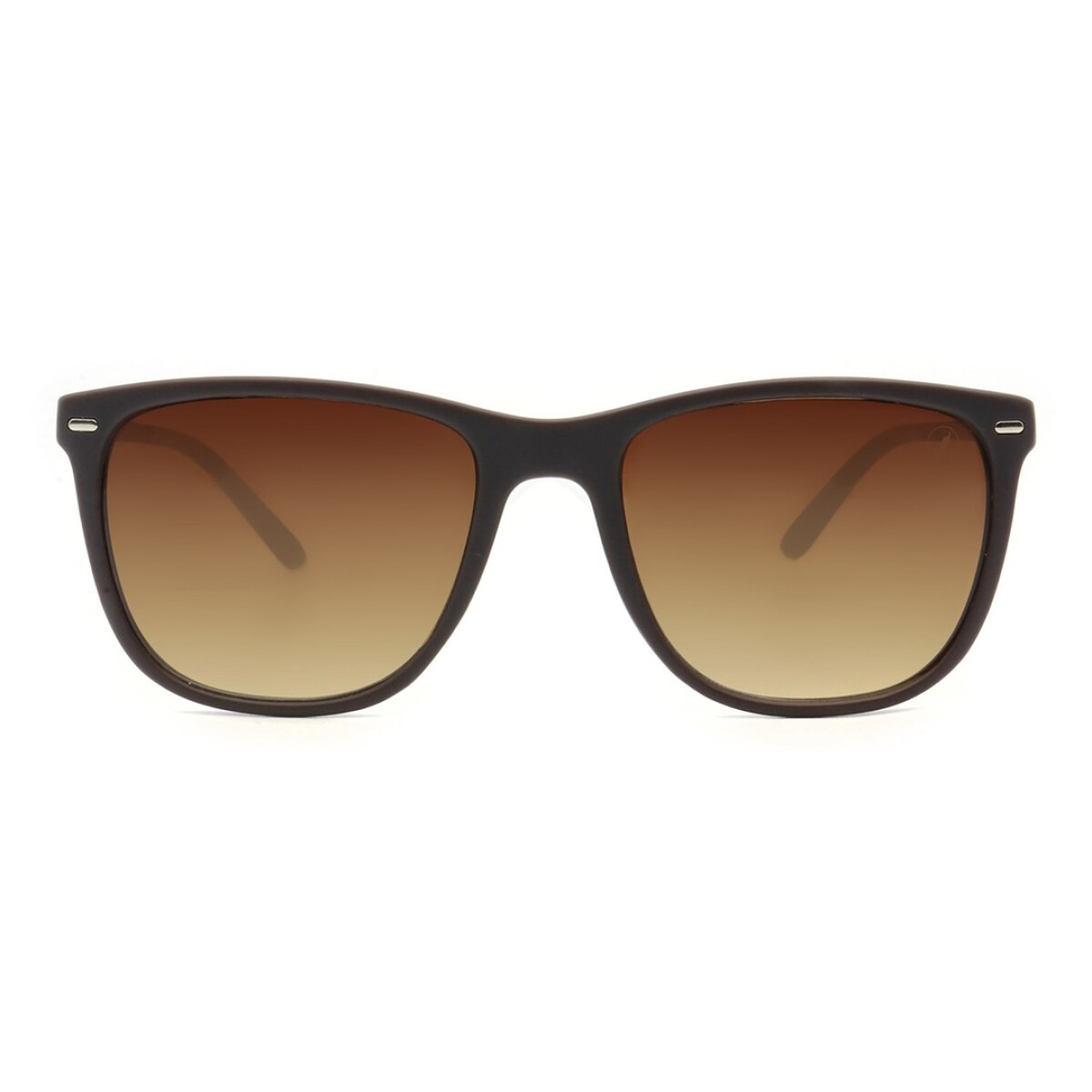 Lentes de Sol Chilli Beans Groenlandia - Marrón 