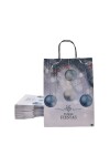 Pack x 20 - bolsa fantasia 22x10x30 cm. Navidad - Fiestas Glam