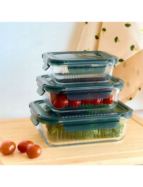 RECIPIENTE RECTANGULAR BOROSILICATO LABRADO 640ML D18X13.5XH6CM RECIPIENTE RECTANGULAR BOROSILICATO LABRADO 640ML D18X13.5XH6CM