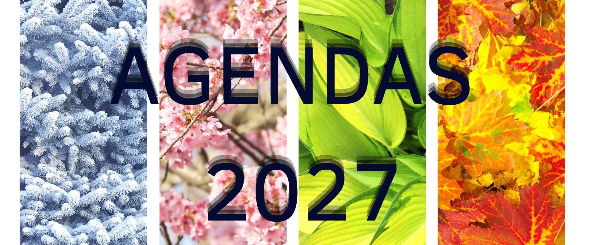 AGENDAS 2027