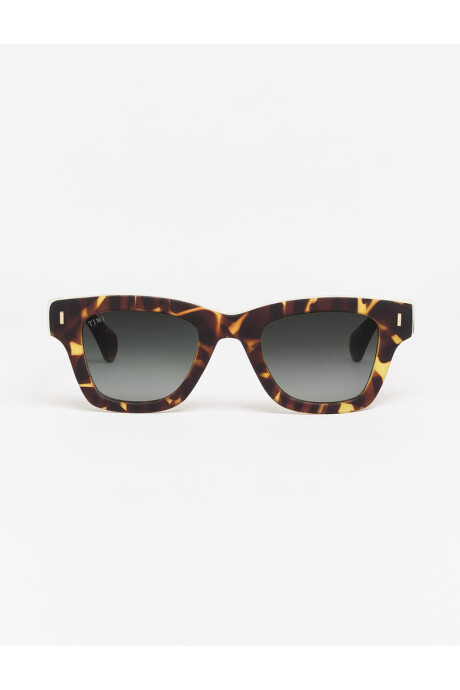 Lentes Tiwi Paul Rubber Vintage Tortoise With Green Gradient L