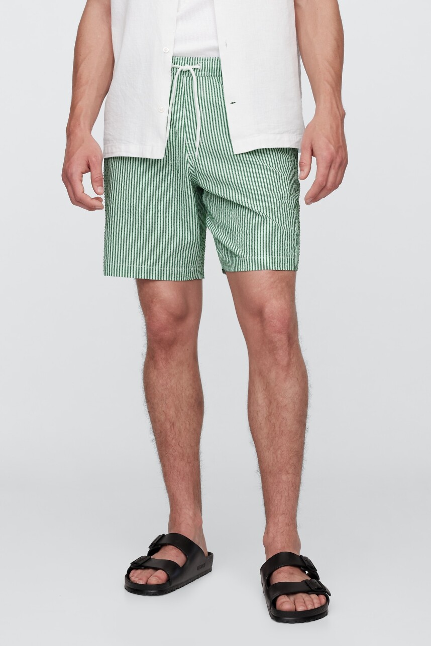 Traje De Baño Hombre Green Stripe