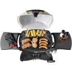Weber Q3200 Weber Q3200