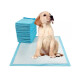 Pañales Entrenamiento Mascotas 60x60cm Sabanilla Absorbente x20 unidades Pañales Entrenamiento Mascotas 60x60cm Sabanilla Absorbente x20 unidades