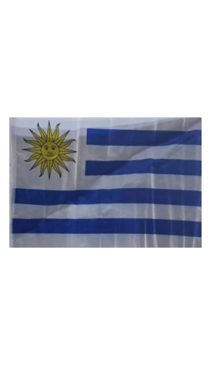 BANDERA AUTO URUGUAY SINTETICA C/SOPORTE 30X45 CM 