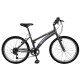 Bicicleta Baccio Alpina Lady Montaña rodado 24 con 6 cambios GRIS