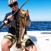 Reel Penn Squall 20 Lw Reel Penn Squall 20 Lw