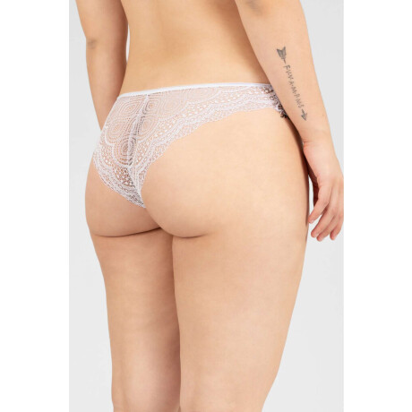 Colaless avadi Blanco