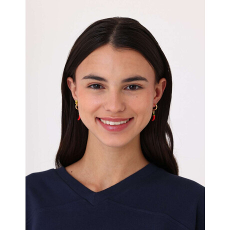 Set De Aros De Frutas Dorado