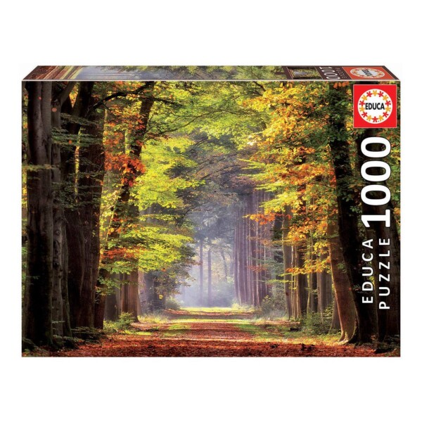 Rompecabeza Puzzle Educa Paseo Otoñal Arboles 1000 Piezas Rompecabeza Puzzle Educa Paseo Otoñal Arboles 1000 Piezas