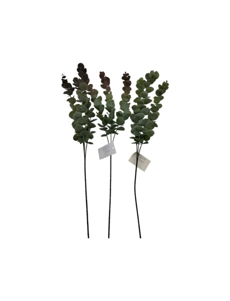 SET 3 RAMAS DE EUCALIPTO 60CM SET 3 RAMAS DE EUCALIPTO 60CM