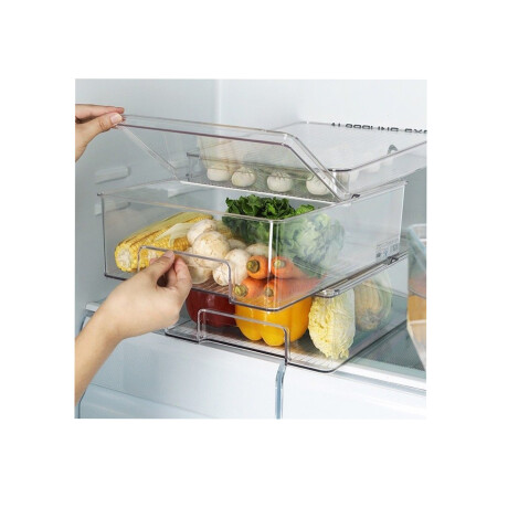CAJA ORG C/ TAPA TRANSPARENTE PLÁSTICO HO-008