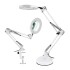 Lampara Aro Luz Led Lupa Aumento 2 En 1 Escritorio Y Morsa Color Variante Blanco
