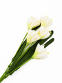FLOR DE CLIVIA BLANCO
