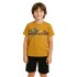 CONJUNTO 4-10 KAKI