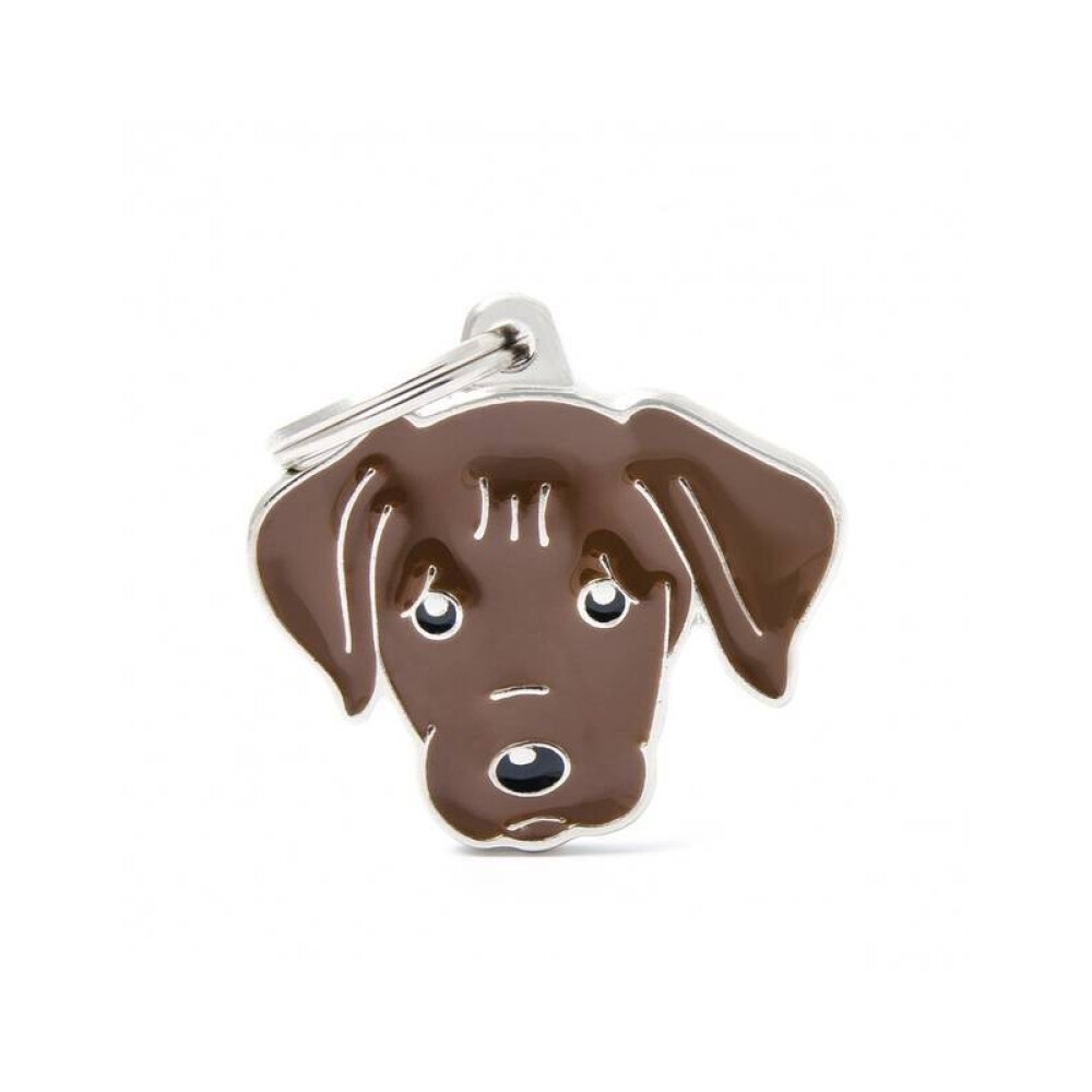 MF31CHOCOLATE - LABRADOR CHOCOLATE MF31CHOCOLATE - LABRADOR CHOCOLATE