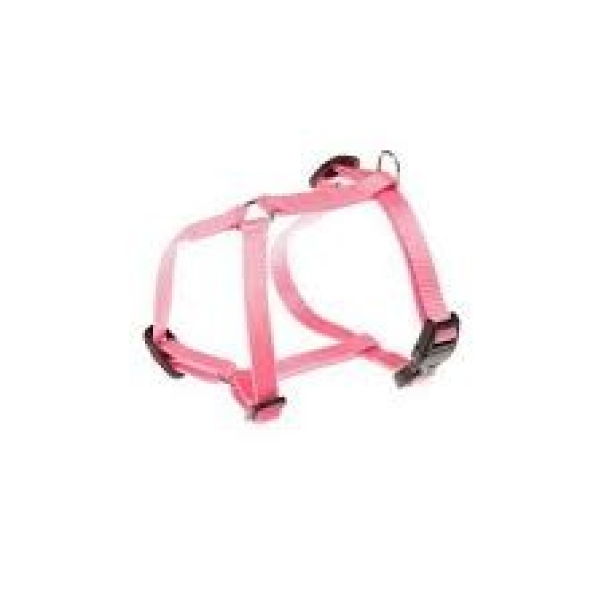 CHAMPION P LARGE ROSA PETT. 