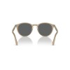 Persol 3152-s 1169/b1