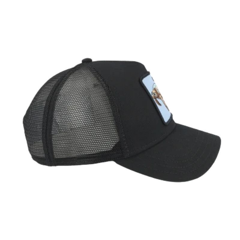 Gorro Cap Goorin The Chill Sea Turtle Gorro Cap Goorin The Chill Sea Turtle