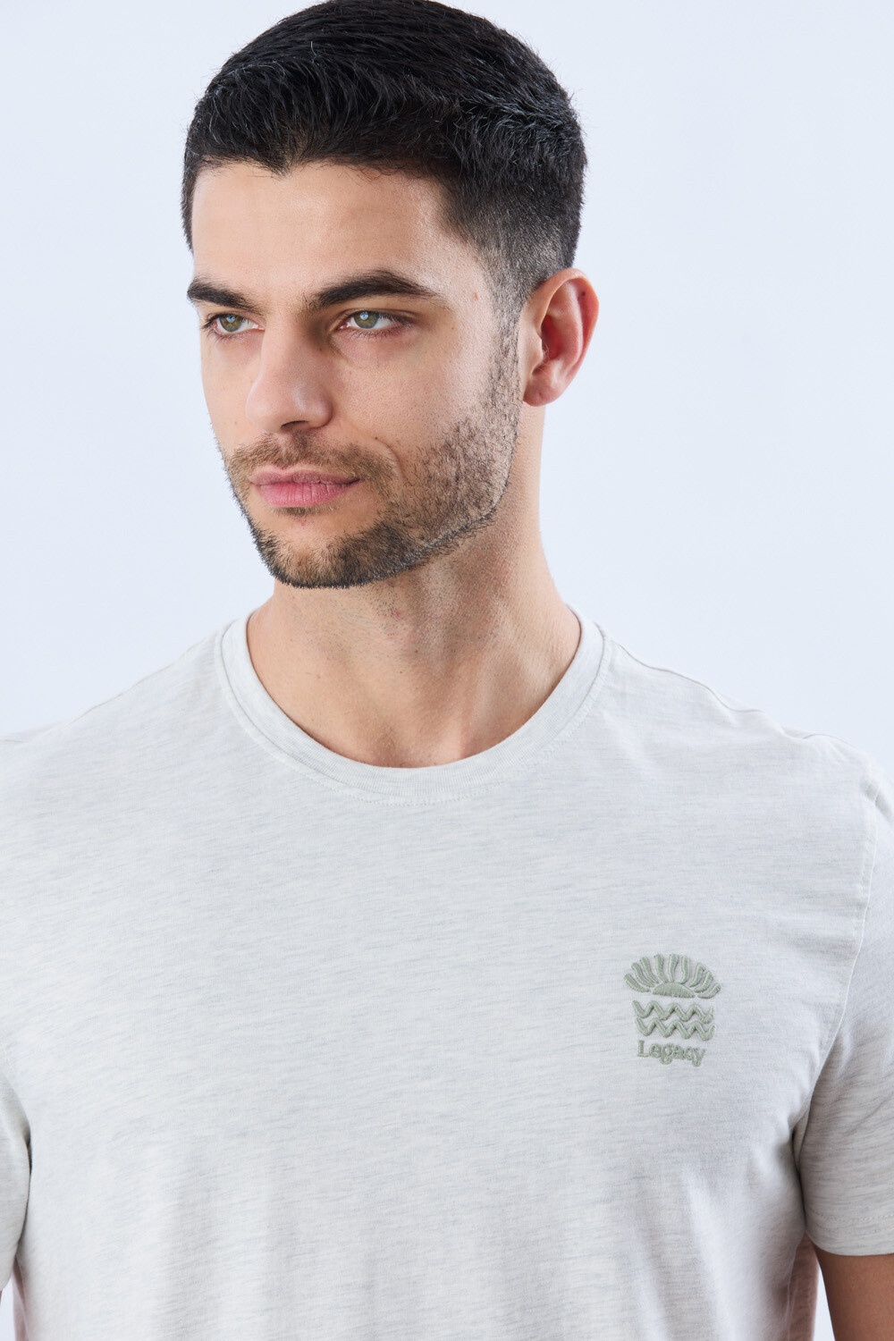 REMERA ESTAMPADA DE ALGODÓN Gris