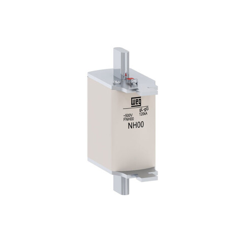 Fusible NH-00 100A GG WE9410