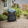 Weber Q2800 sky blue Weber Q2800 sky blue