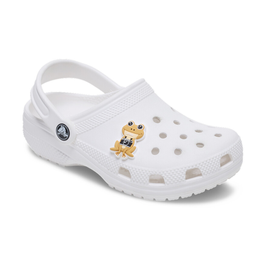 Jibbitz Coqui With Camera Multicolor