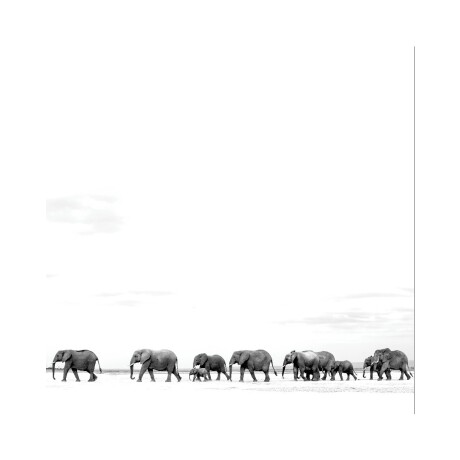Dave Matthews Band - Where Are You Going: The Singles - Vinilo Dave Matthews Band - Where Are You Going: The Singles - Vinilo