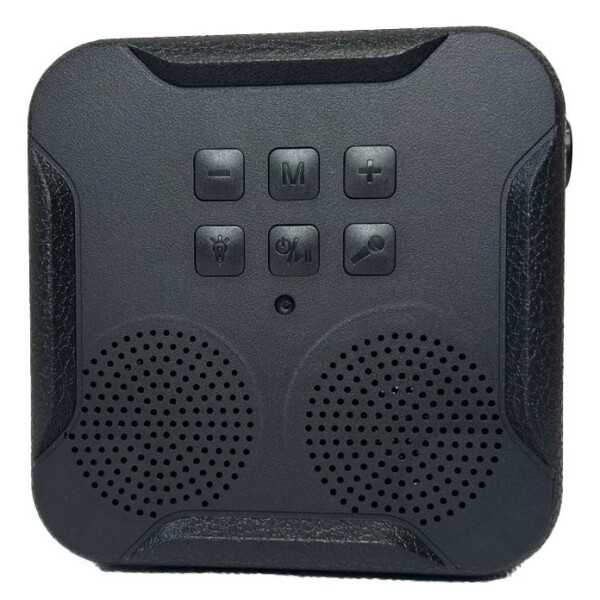 Parlante Bluetooth Karaoke Con Micrófono Y Luces Portatil Ax Variante Color Negro
