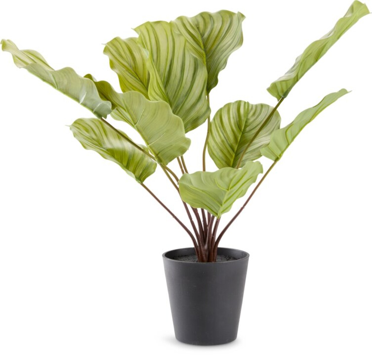 Planta artificial ROLF H55cm verde 