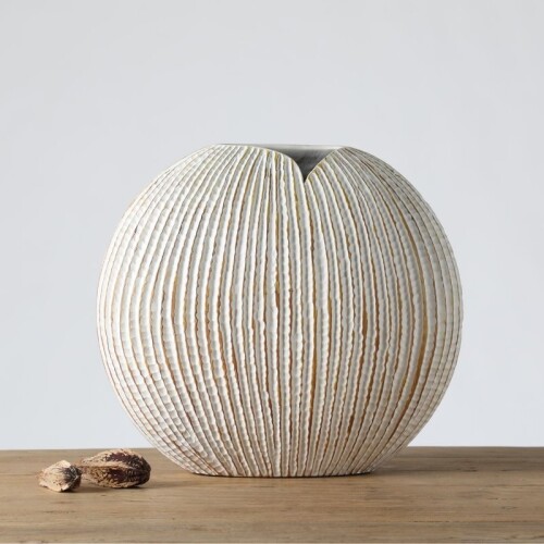 Avellana Grande Avellana Grande