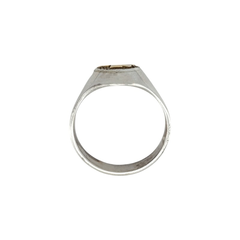 Anillo Profesión Enfermería -Plata y Oro -Sin Piedra-AP5063 sinpiedra