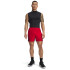 Vanish Graphic Short-RED RED-600
