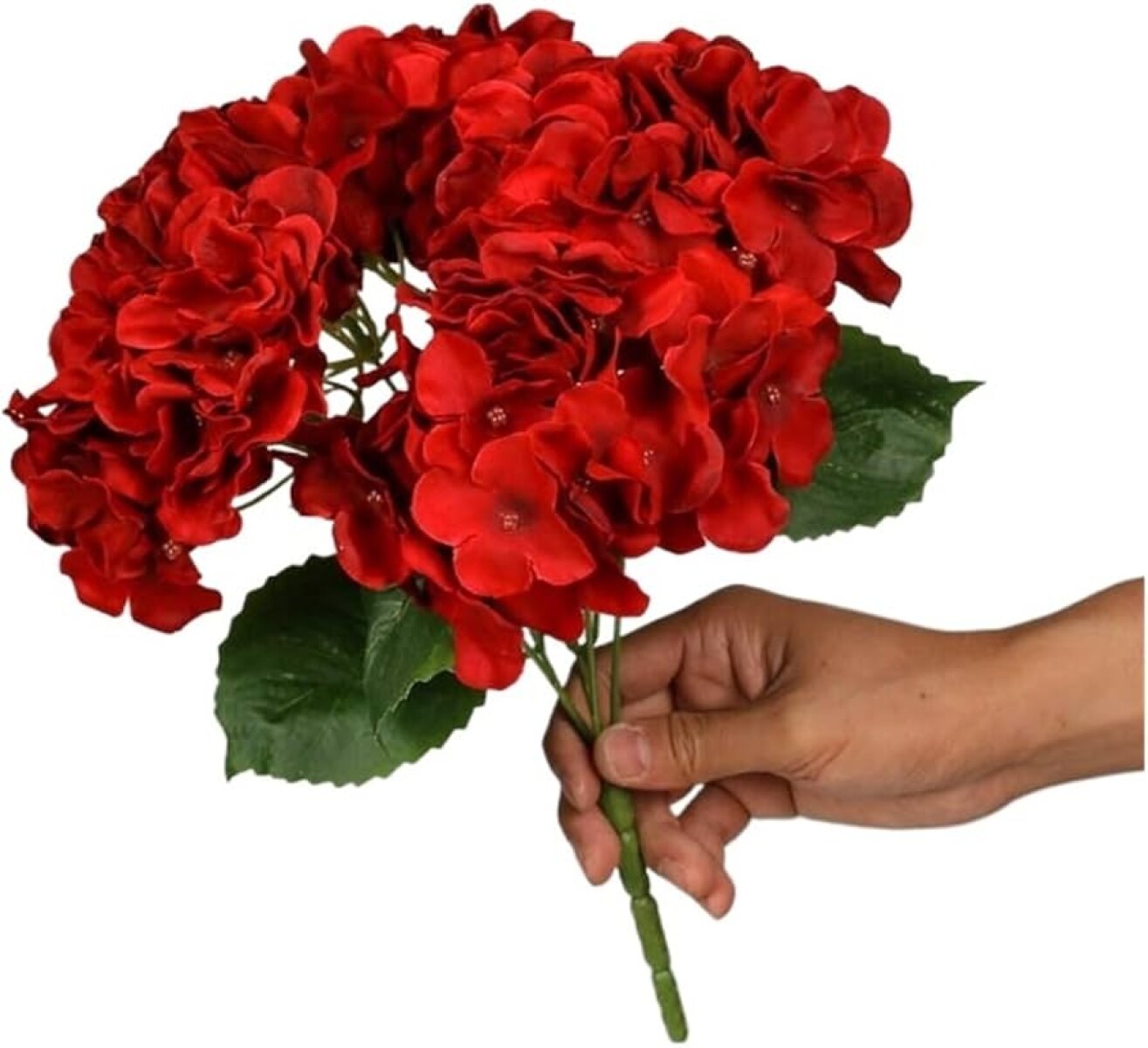 Ramo de 5 Hortensias - Roja 