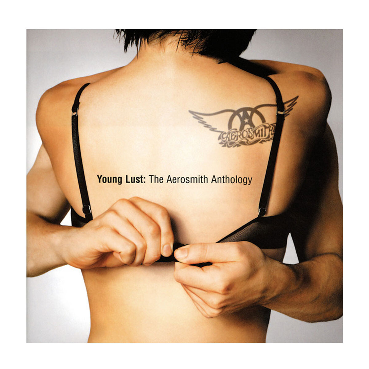 Aerosmith - Young Lust: The Aerosmith Anthology - Cd 
