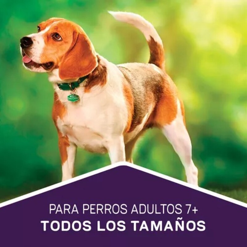 DOG CHOW PERROS ADULTOS MAYORES 8 KILOS