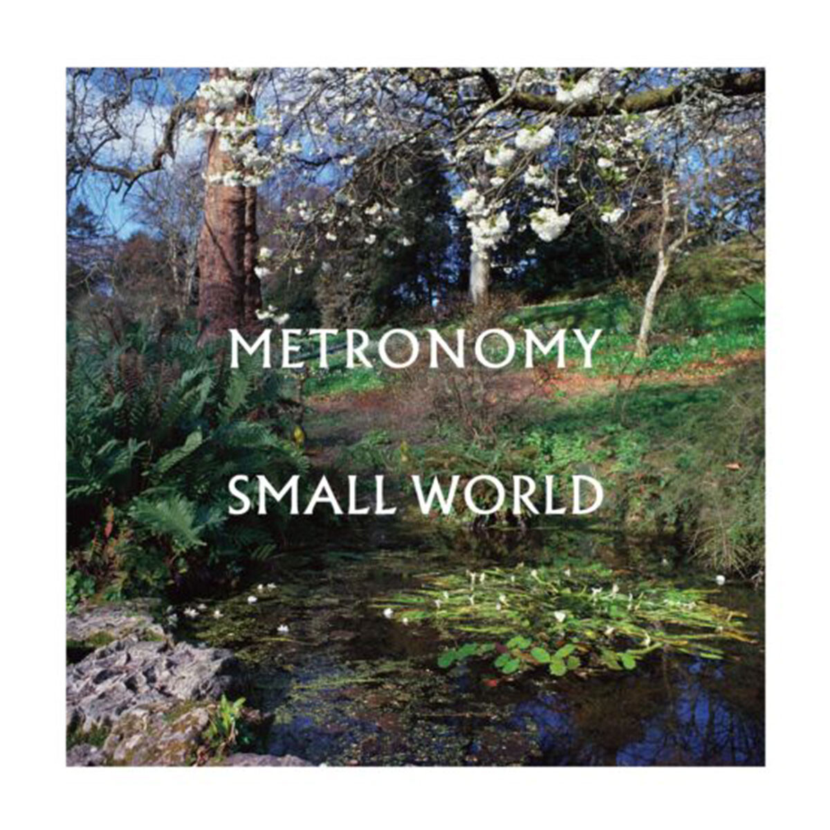 Metronomy Small World - Vinilo 