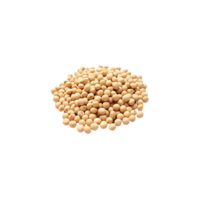 POROTO DE SOJA ENTERO 500G Poroto Soja Entero 500g