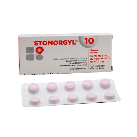 STOMORGYL 10 X BLISTER DE 10 COMPRIMIDOS
