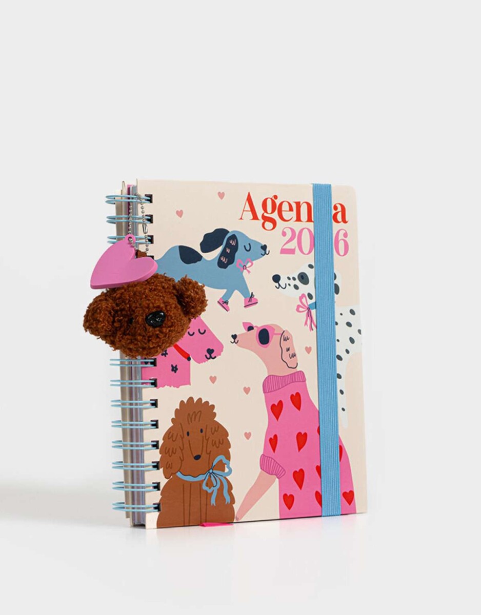 Agenda A5 2026 - Combinacion Multicolor 