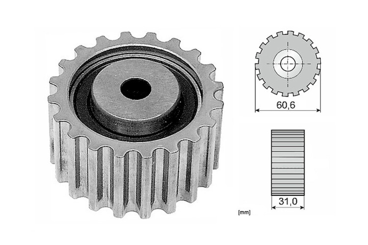 Tensor Guía Correa Distribución Tensor Guía Correa Distribución