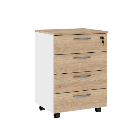 ARMARIO CORPORATIVO ORGANIZADOR 4 CAJONES CON LLAVE ARMARIO CORPORATIVO ORGANIZADOR 4 CAJONES CON LLAVE