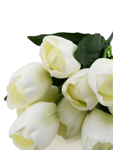 TULIPANES BLANCOS BLANCO