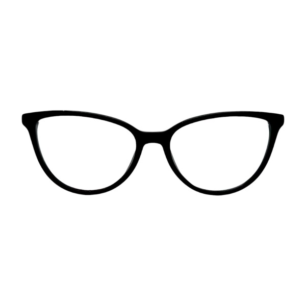 LV101520 negrouniforme