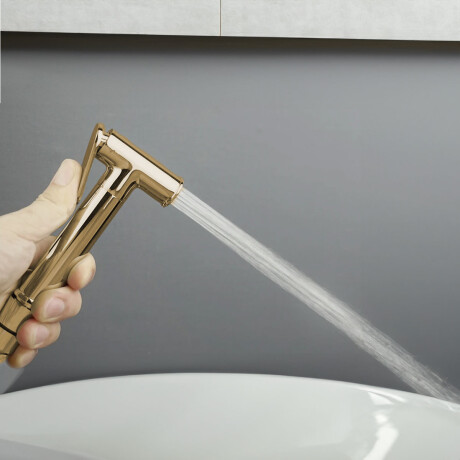 Griferia Ducha Higienica Embutir En Oro Cepillado - Signature 000