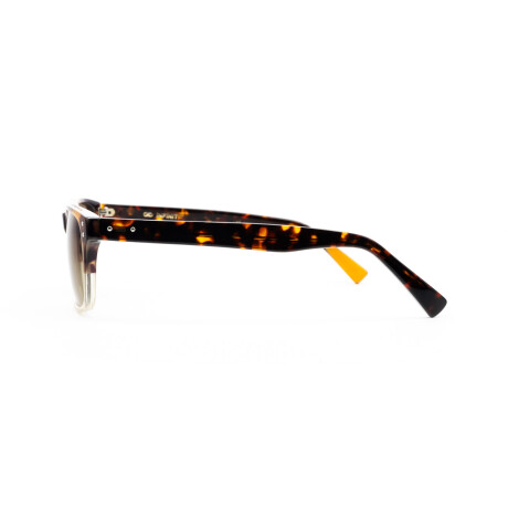 Lentes de Sol Infinit Rupert Marrón