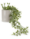 Planta artificial OLIVER maceta colgar Planta artificial OLIVER maceta colgar
