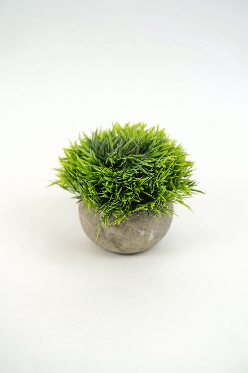 Planta Suculenta Artificial - Color Unico 
