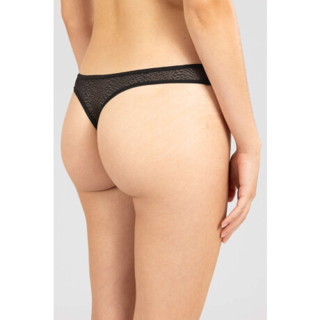 Colaless amaranto Negro