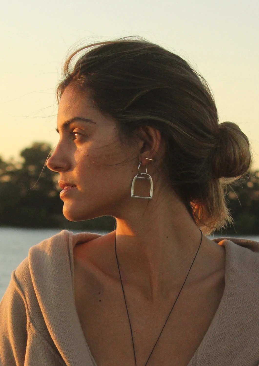 Estribo Earrings